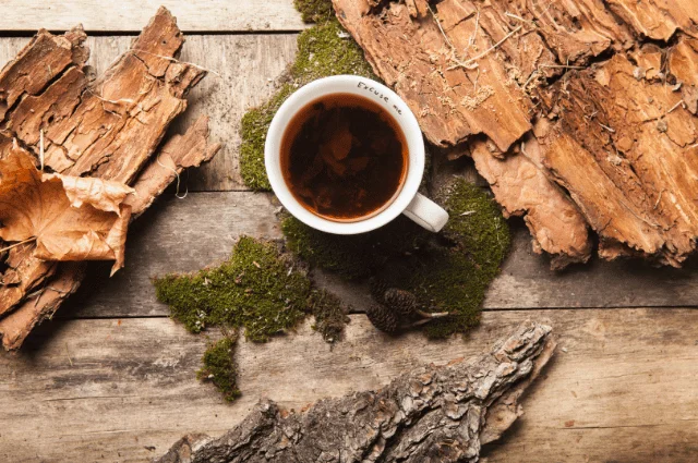 Cinchona Bark