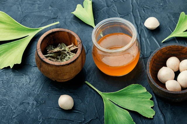 Ginkgo Biloba